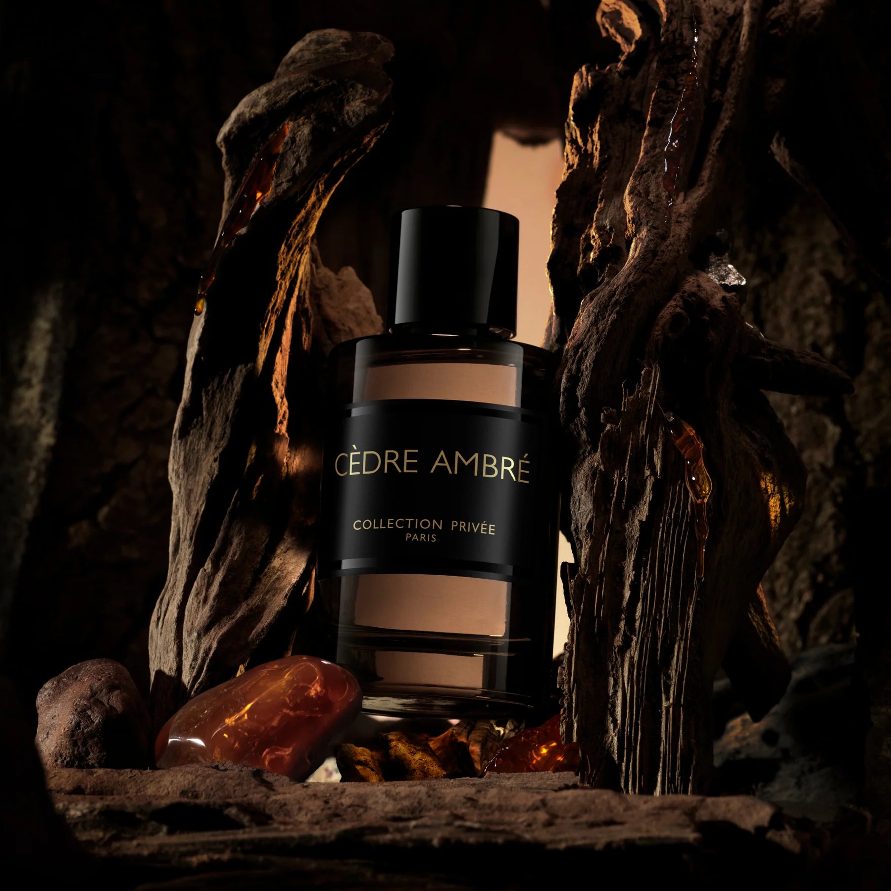 CÈDRE AMBRÉ edp