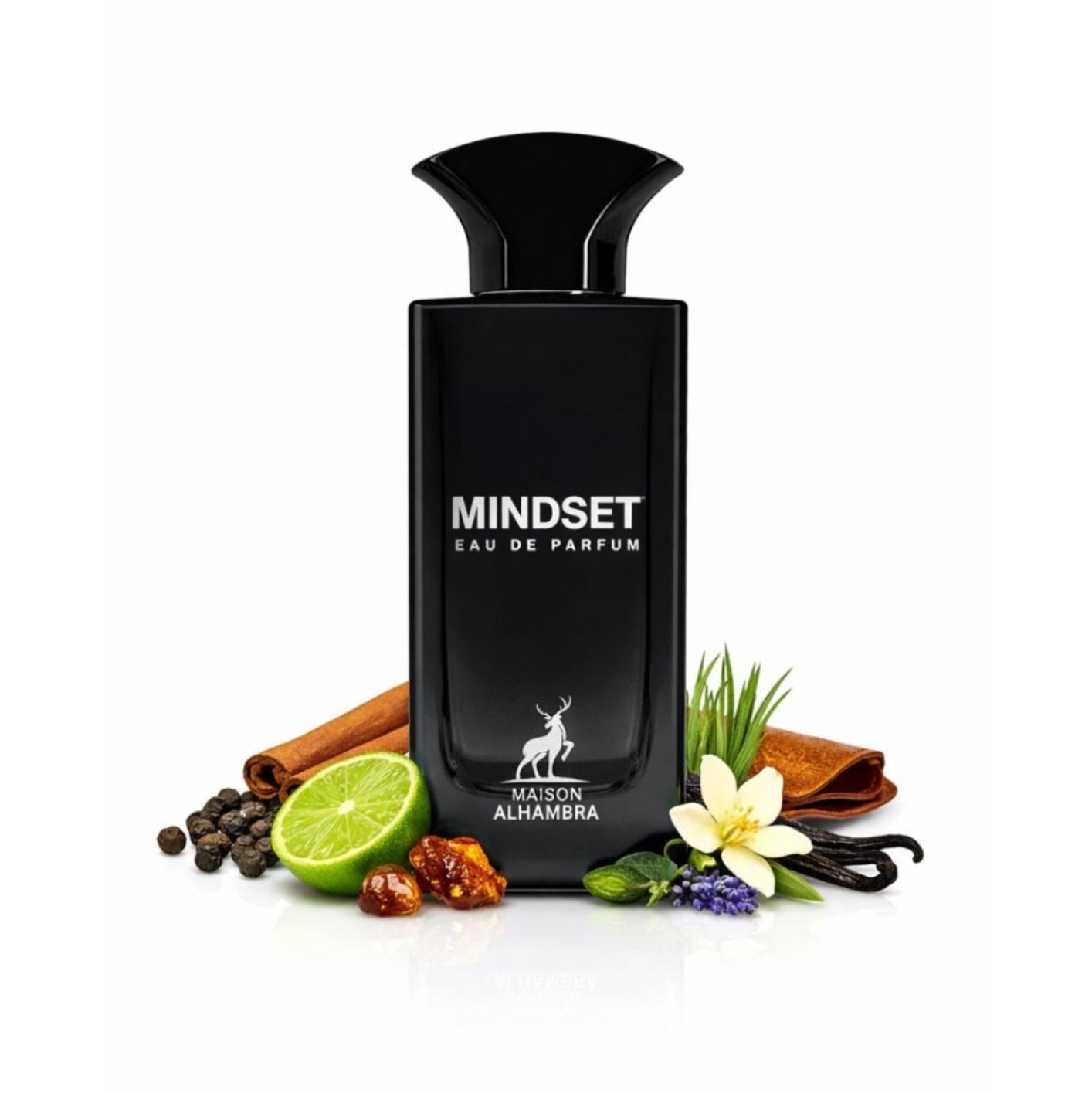 MINDSET edp