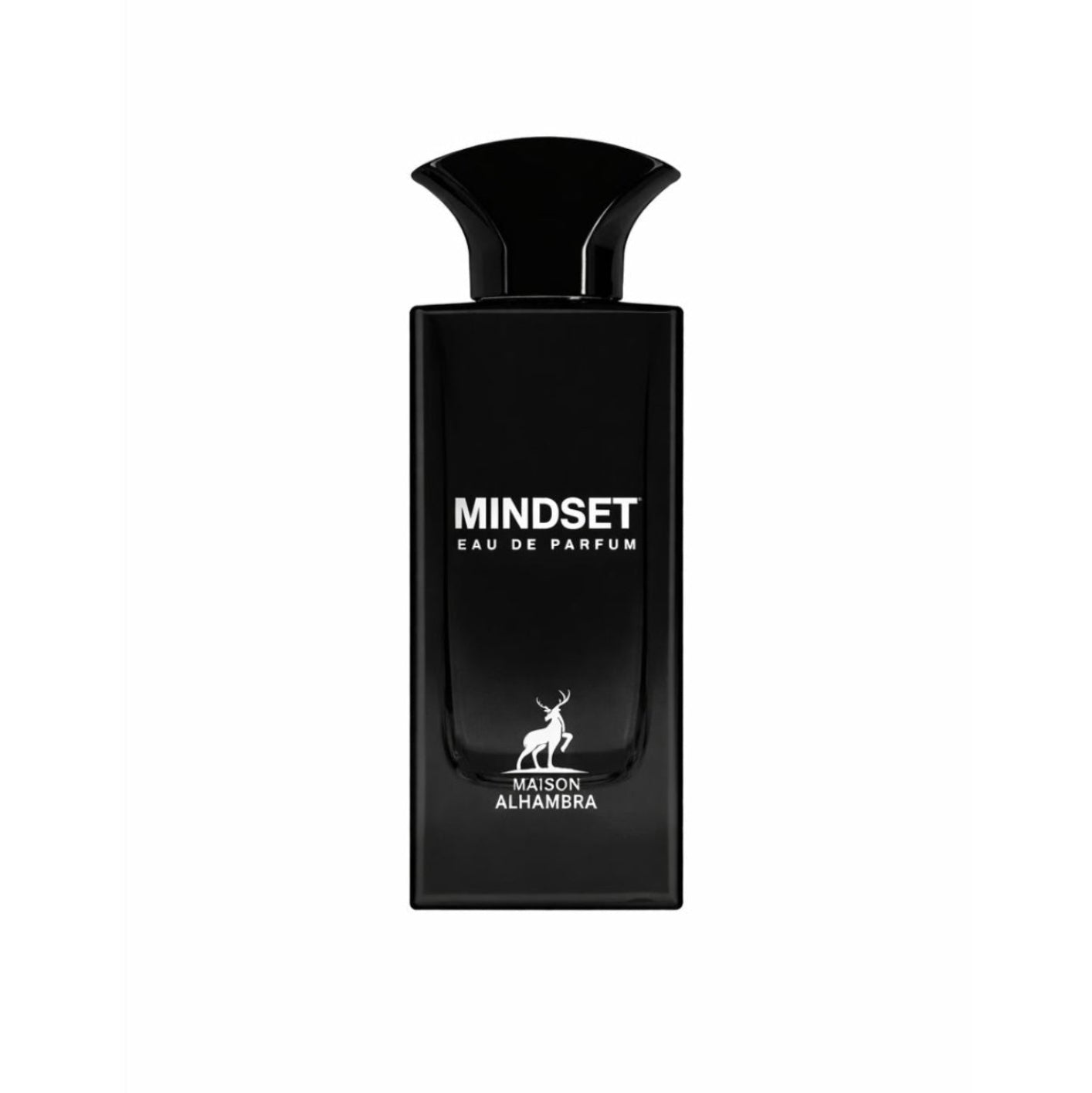 MINDSET edp