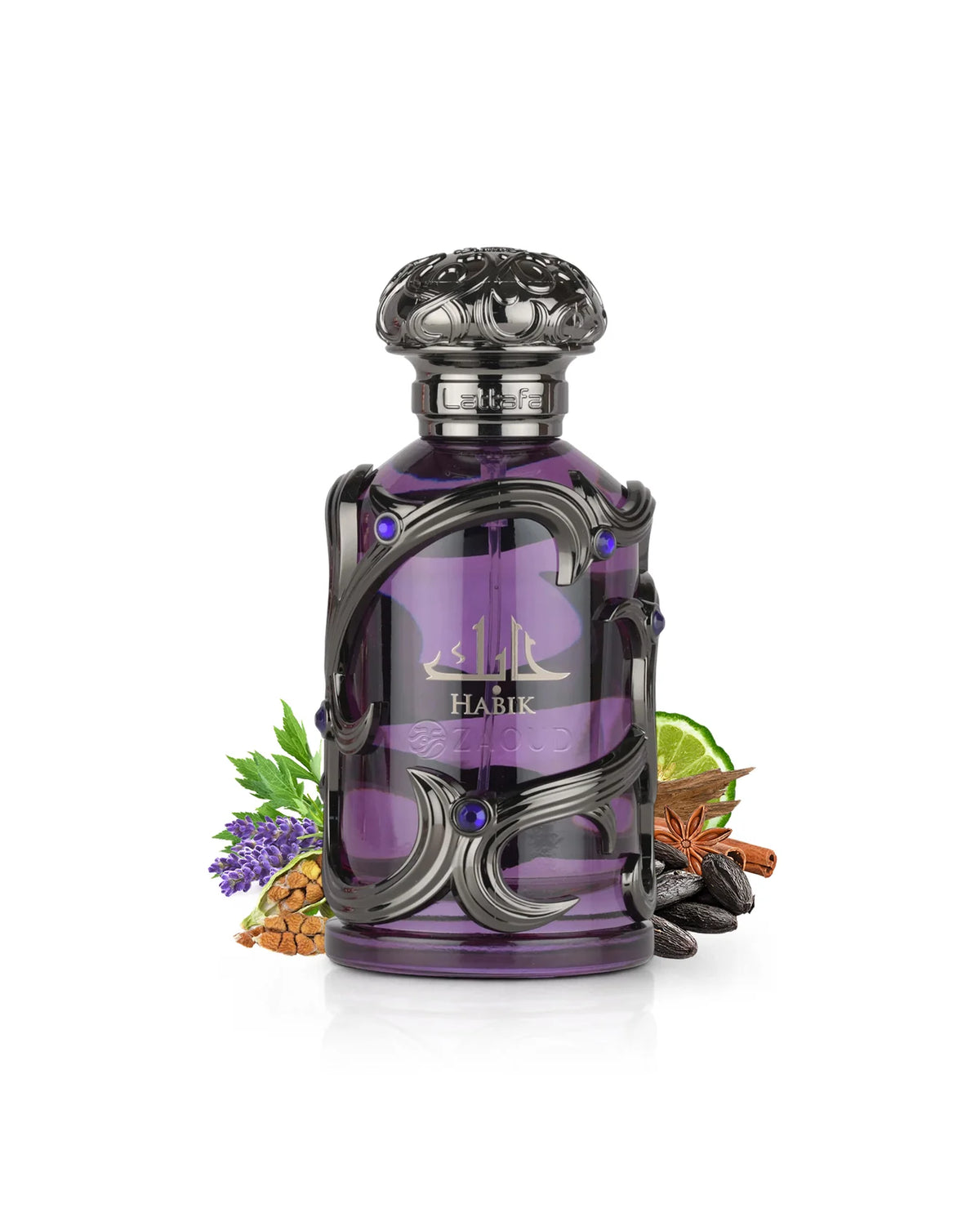 Elixir Habik HABIK for men edp – ELYSÉA perfumes