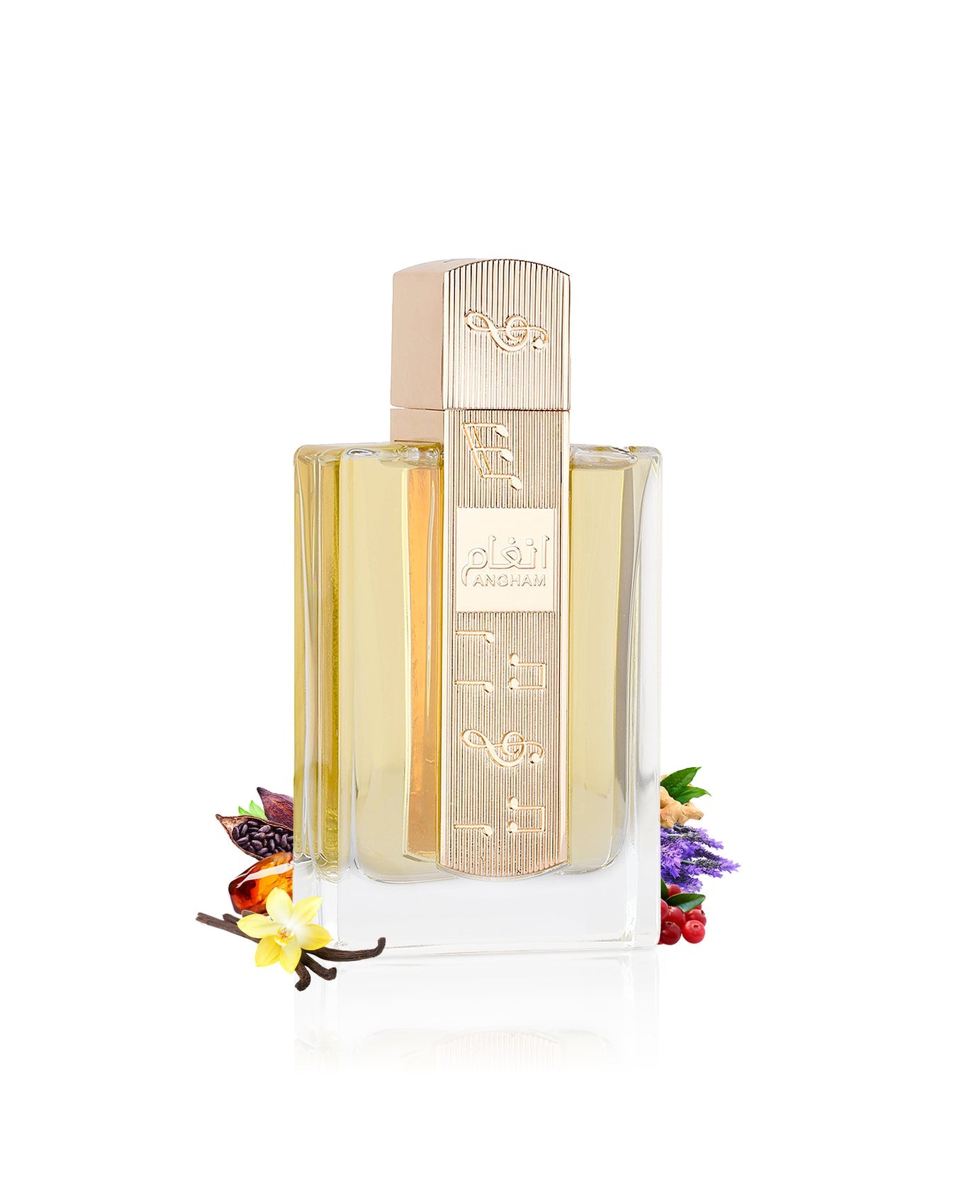 ANGHAM Edp