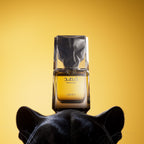 Flacon de parfum Fahad Lattafa Eau de Parfum 80 ml pour homme original

