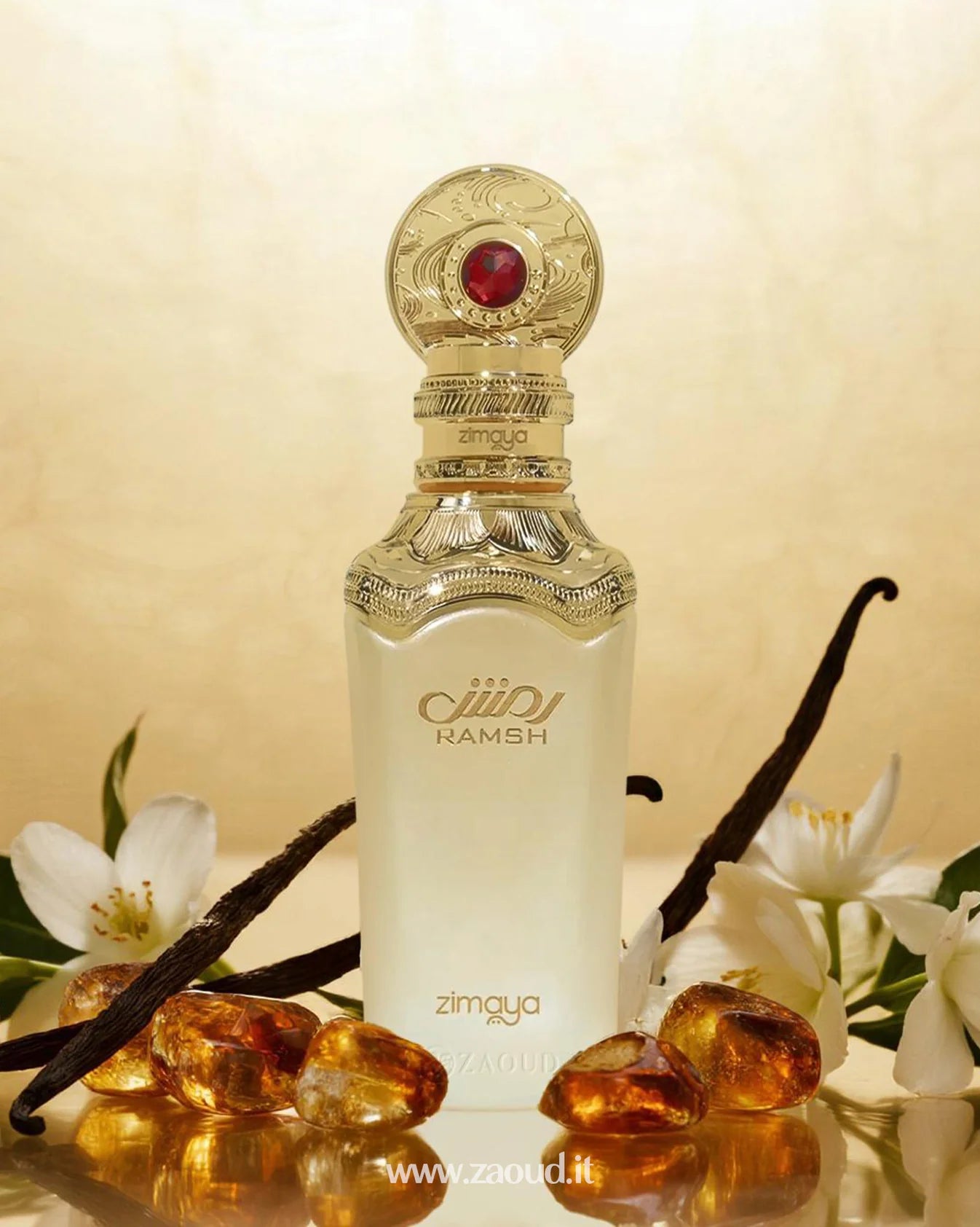 RAMSH DIVA edp
